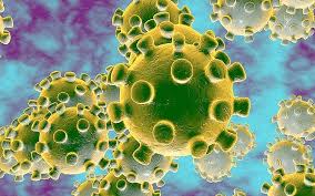 Công điện ứng phó với dịch virus corona của Bộ Giáo dục