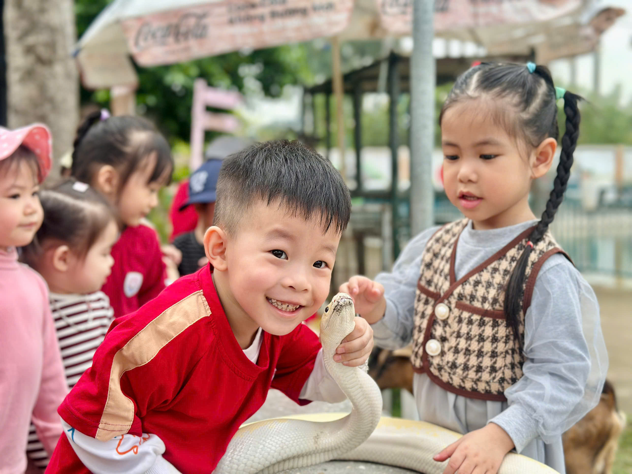 Trường Mầm non Hữu Nghị (HNS): Nơi ươm mầm trí tuệ và lòng nhân ái